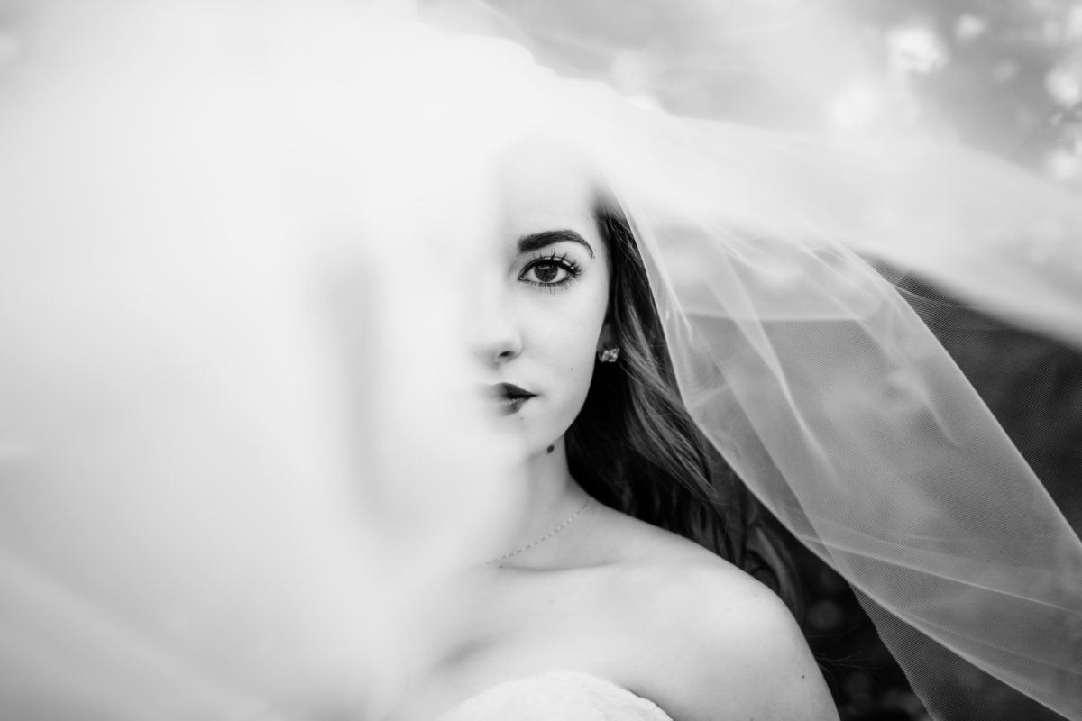 anna's bridal